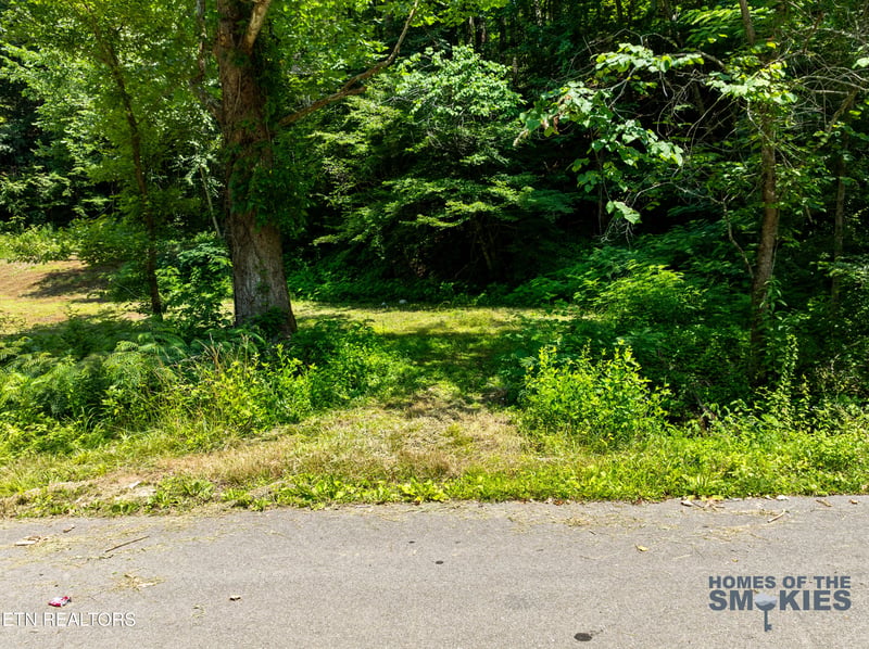 Lot 1 Carrs Creek Rd, Townsend, TN 37882