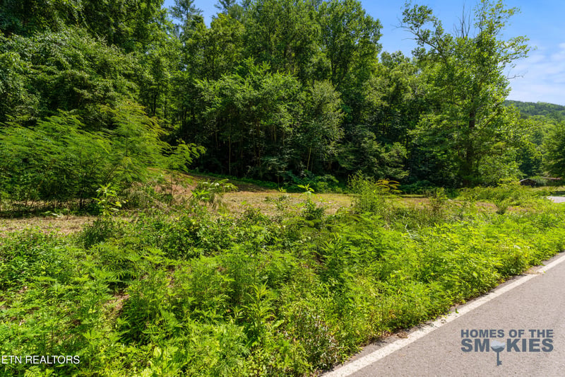 Lot 1 Carrs Creek Rd, Townsend, TN 37882