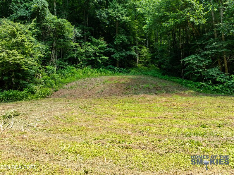 Lot 1 Carrs Creek Rd, Townsend, TN 37882