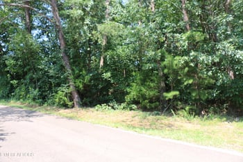 Lot 1 County Road 892, Etowah, TN 37331