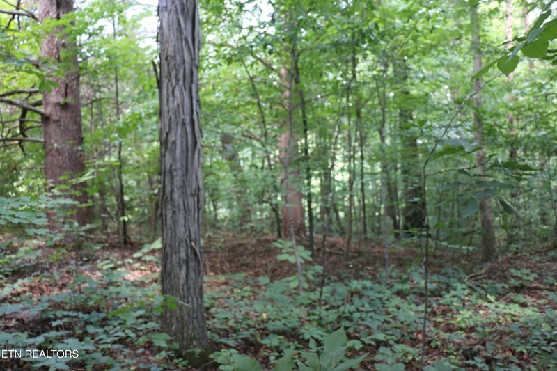 Lot 1 County Road 892, Etowah, TN 37331