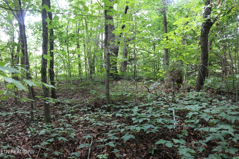 Lot 1 County Road 892, Etowah, TN 37331