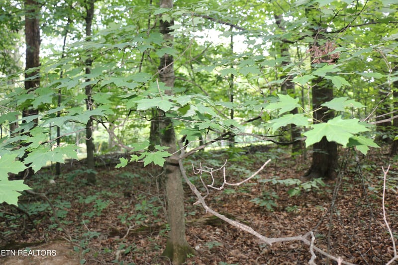 Lot 1 County Road 892, Etowah, TN 37331