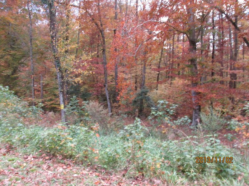 Lot 1 Eagle Ridge Rd, Rockwood, TN 37854