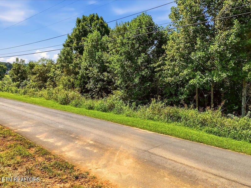Lot 1 Holston River Dr, Rutledge, TN 37861