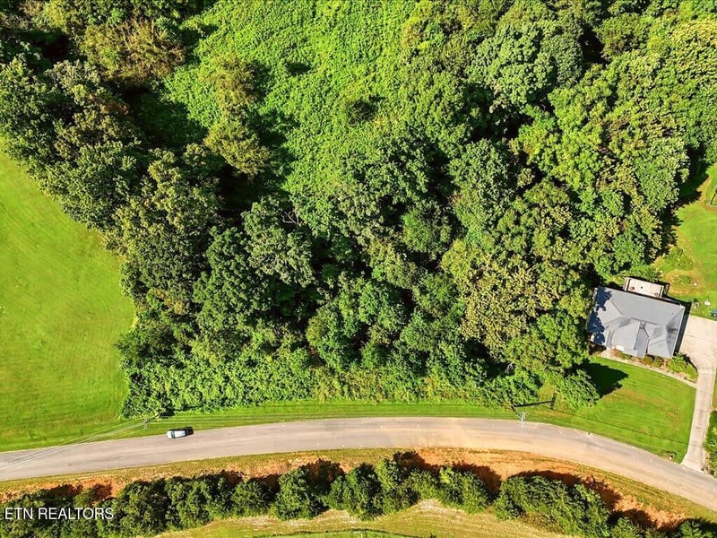 Lot 1 Holston River Dr, Rutledge, TN 37861