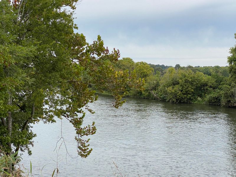 Lot 1 Howell, Mascot, TN 37806