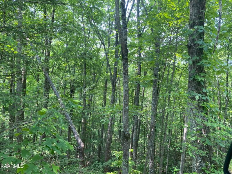 Lot 1 John Sevier Dr, Sevierville, TN 37876