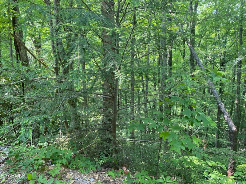 Lot 1 John Sevier Dr, Sevierville, TN 37876