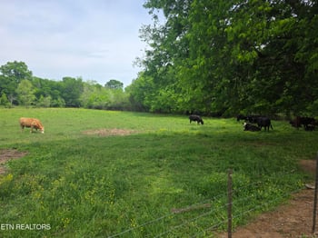 Lot 1 Maloneyville Rd, Corryton, TN 37721