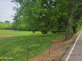 Lot 1 Maloneyville Rd, Corryton, TN 37721