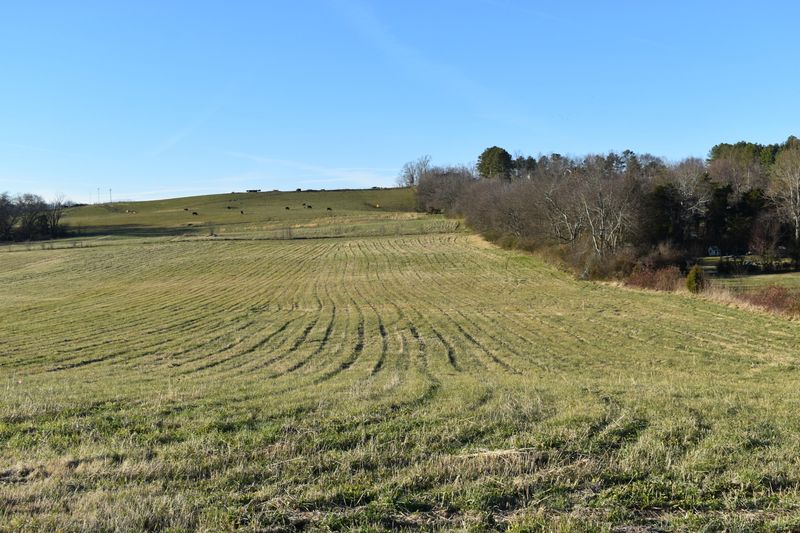 Lot 1 Mccleary Rd, Sevierville, TN 37876