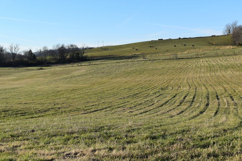 Lot 1 Mccleary Rd, Sevierville, TN 37876