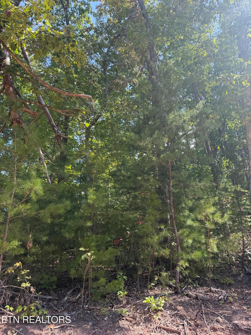 Lot 1 Mecca Pike, Tellico Plains, TN 37385