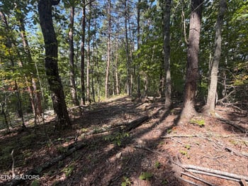 Lot 1 Mecca Pike, Tellico Plains, TN 37385