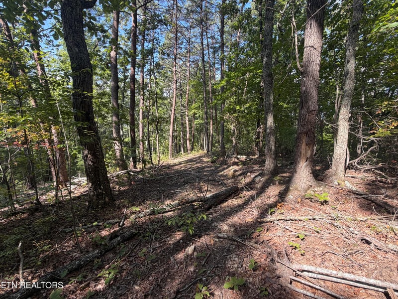 Lot 1 Mecca Pike, Tellico Plains, TN 37385