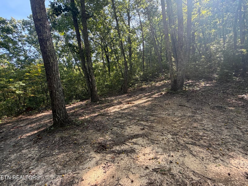 Lot 1 Mecca Pike, Tellico Plains, TN 37385