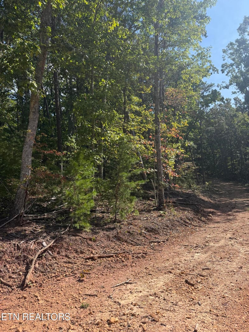 Lot 1 Mecca Pike, Tellico Plains, TN 37385