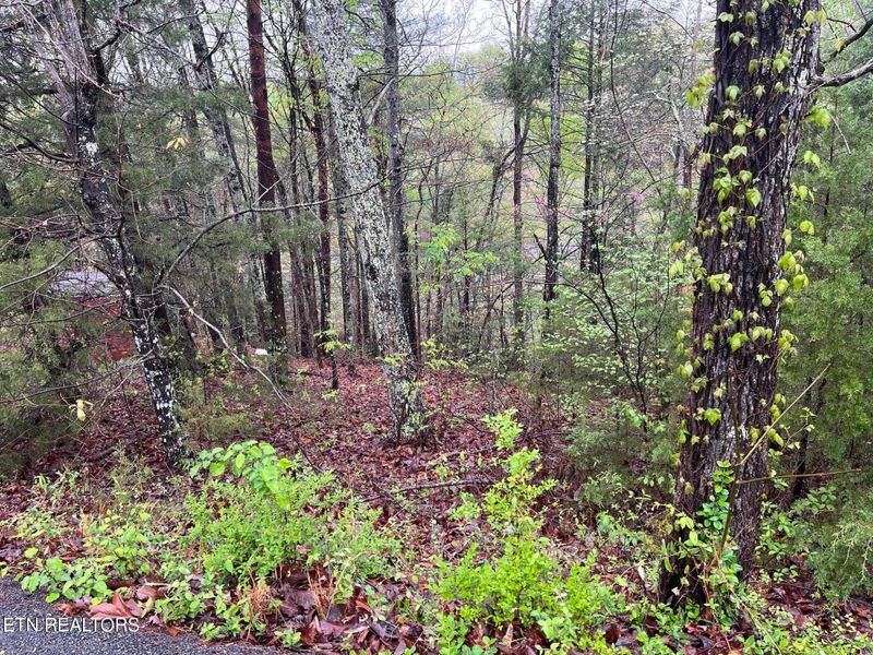 Lot 1 Mountain View Dr, Pigeon Forge, TN 37863