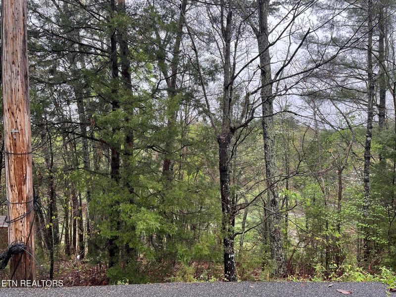 Lot 1 Mountain View Dr, Pigeon Forge, TN 37863