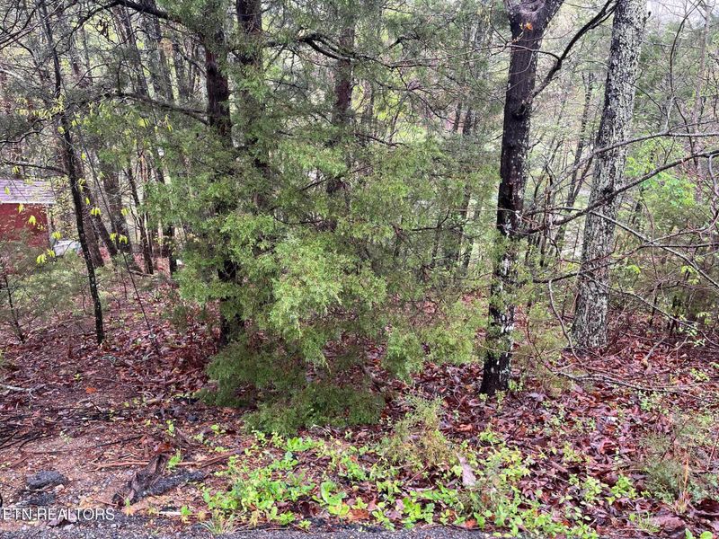 Lot 1 Mountain View Dr, Pigeon Forge, TN 37863