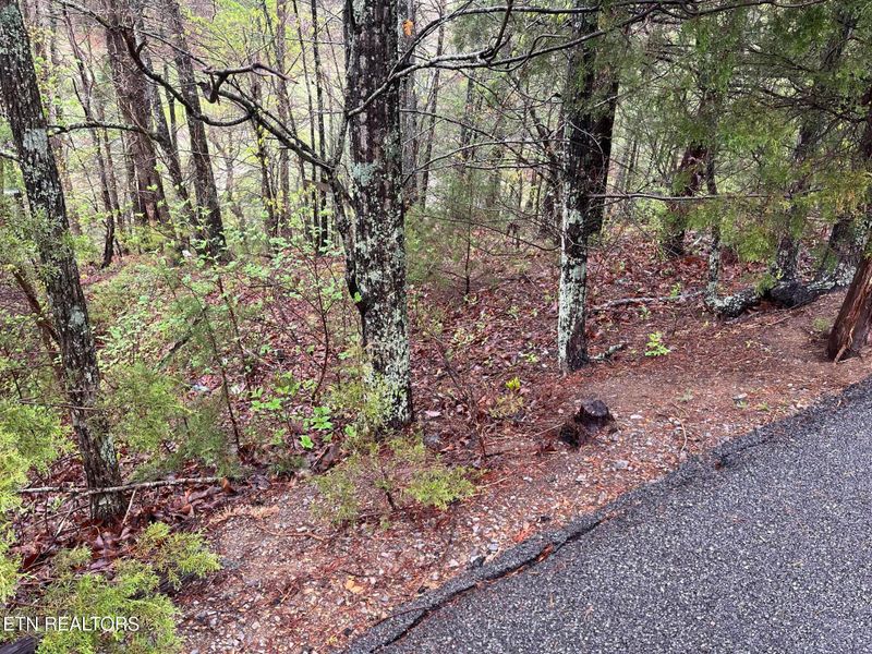 Lot 1 Mountain View Dr, Pigeon Forge, TN 37863