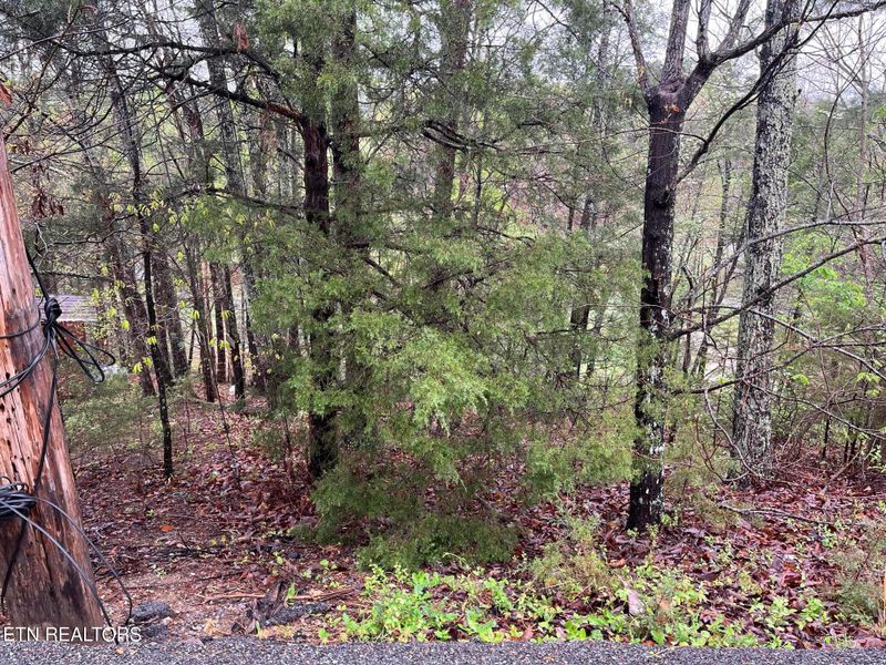Lot 1 Mountain View Dr, Pigeon Forge, TN 37863