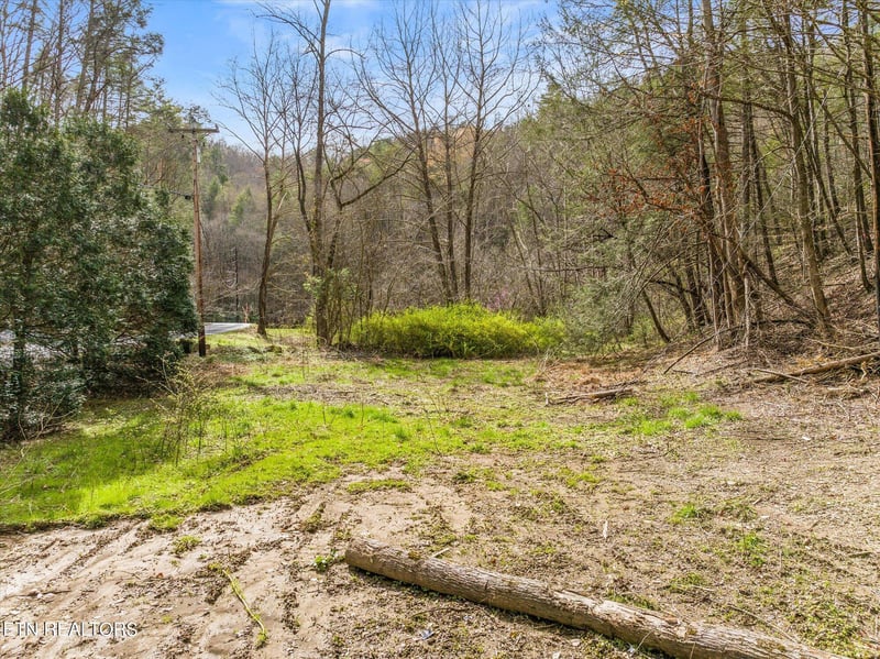 Lot 1 N Clear Fork Rd, Sevierville, TN 37863