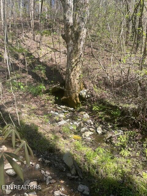 Lot 1 Old Furnace Rd, Tellico Plains, TN 37385