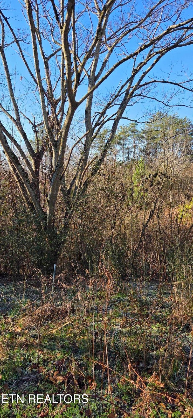 Lot 1 Sugar Maple Ct, Madisonville, TN 37354