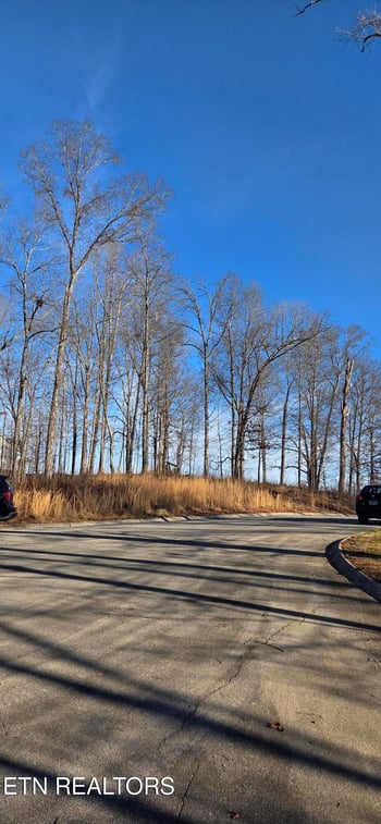 Lot 1 Sugar Maple Ct, Madisonville, TN 37354