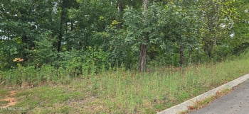 Lot 1 Sugar Maple Ct, Madisonville, TN 37354