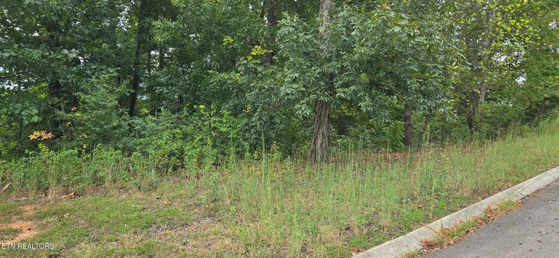Lot 1 Sugar Maple Ct, Madisonville, TN 37354