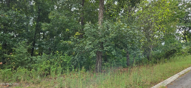 Lot 1 Sugar Maple Ct, Madisonville, TN 37354