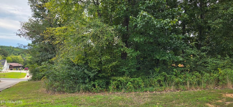 Lot 1 Sugar Maple Ct, Madisonville, TN 37354