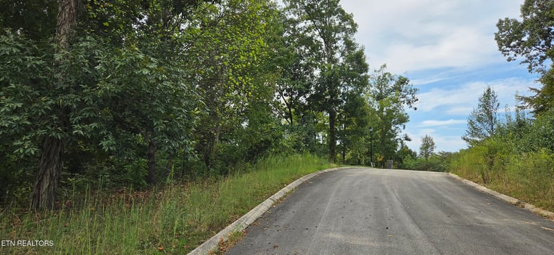 Lot 1 Sugar Maple Ct, Madisonville, TN 37354