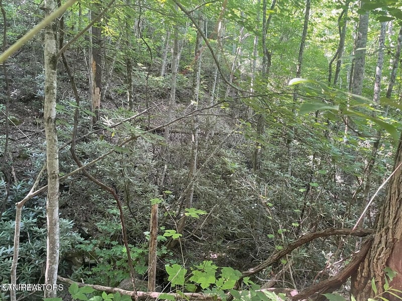 Lot 1 Sycamore St, Sevierville, TN 37876