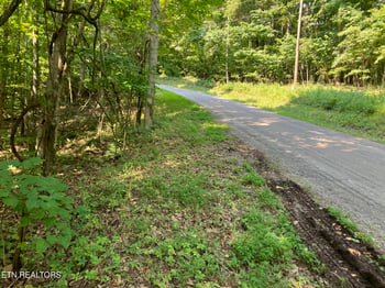 Lot 1 Tumbling Run Rd, Maynardville, TN 37807