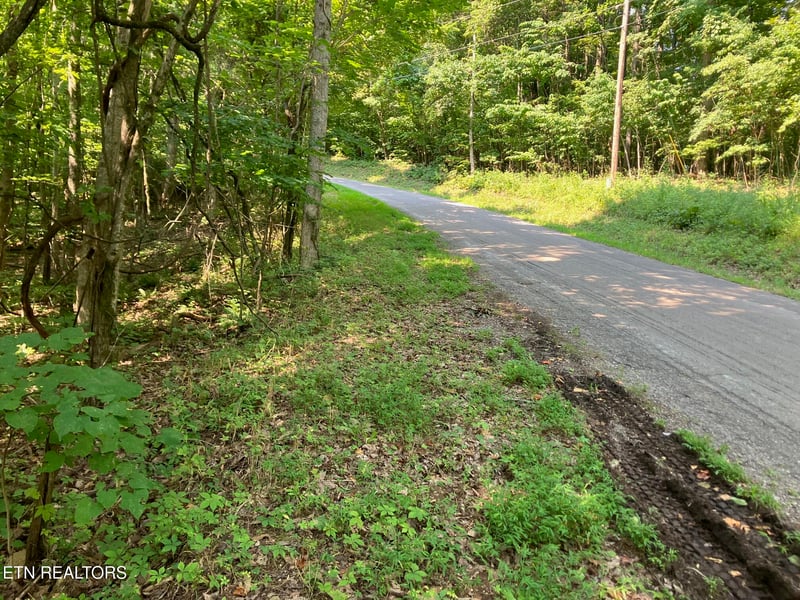 Lot 1 Tumbling Run Rd, Maynardville, TN 37807