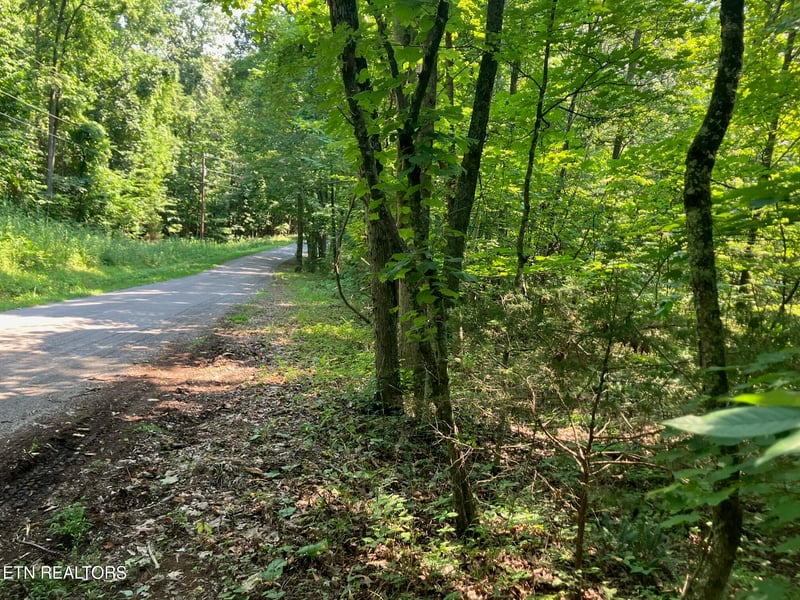 Lot 1 Tumbling Run Rd, Maynardville, TN 37807