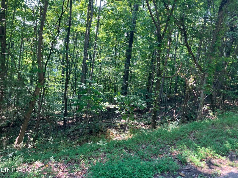 Lot 1 Tumbling Run Rd, Maynardville, TN 37807