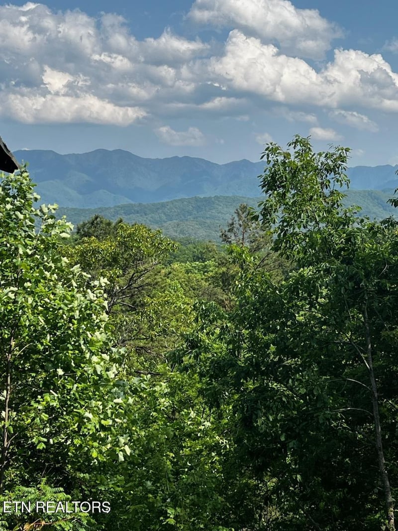 Lot 1 Vista Dr, Gatlinburg, TN 37738