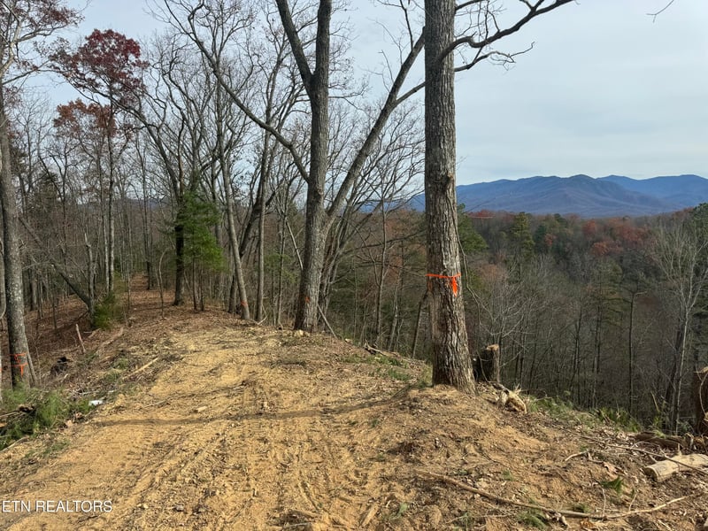 Lot 1 Vista Dr, Gatlinburg, TN 37738