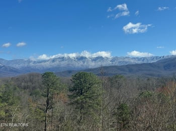 Lot 1 Vista Dr, Gatlinburg, TN 37738
