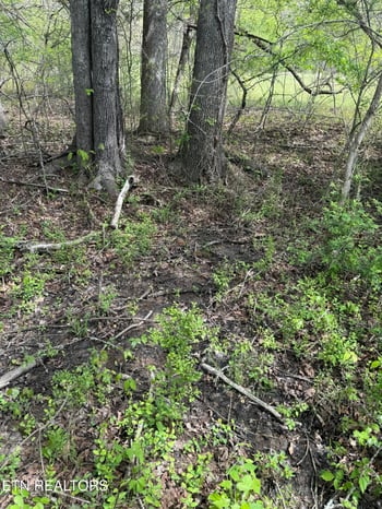 Lot 1 Yarnell Rd, Knoxville, TN 37932