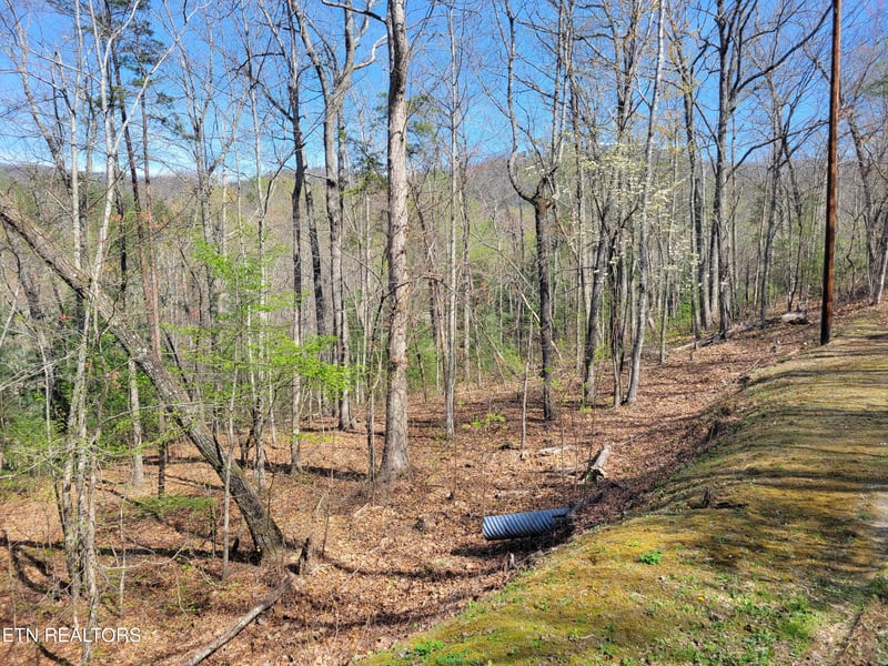 Lot 10 Black Oak Dr, Sevierville, TN 37876