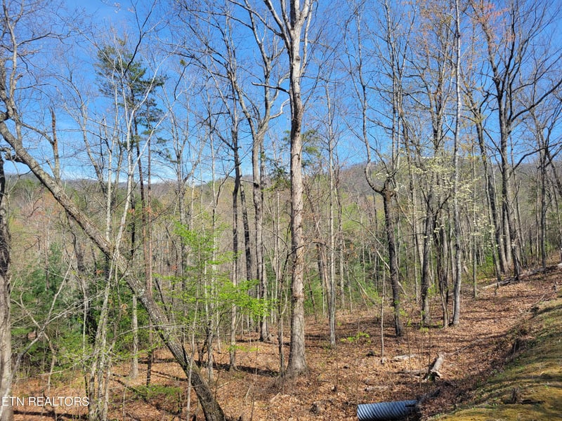 Lot 10 Black Oak Dr, Sevierville, TN 37876