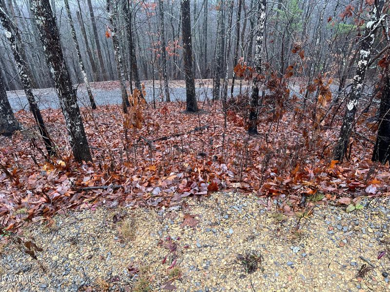 Lot 10 Grey Fox Rn, Sevierville, TN 37862