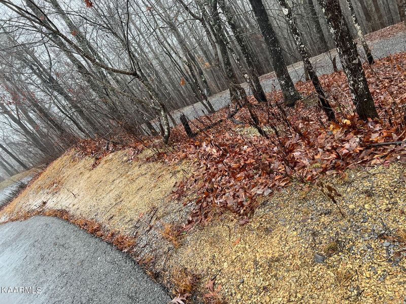 Lot 10 Grey Fox Rn, Sevierville, TN 37862