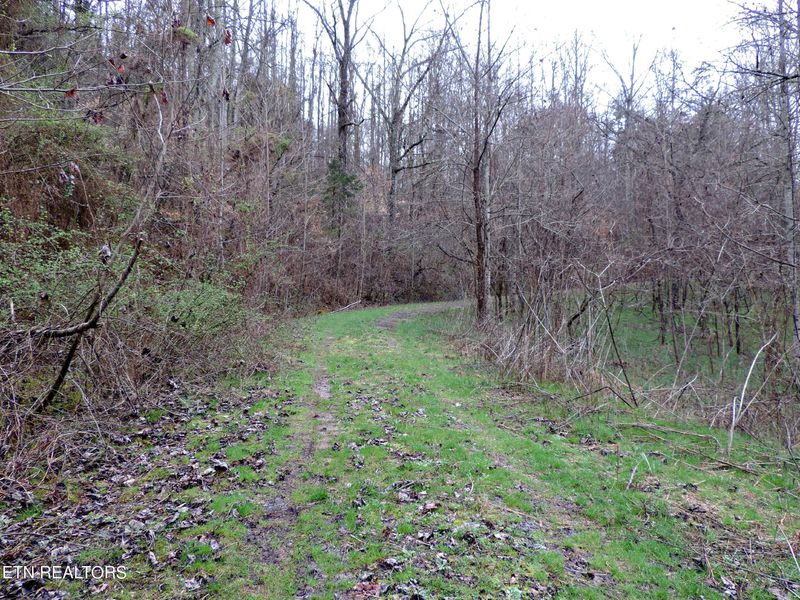Lot 10 Hickory Springs Rd, Washburn, TN 37888